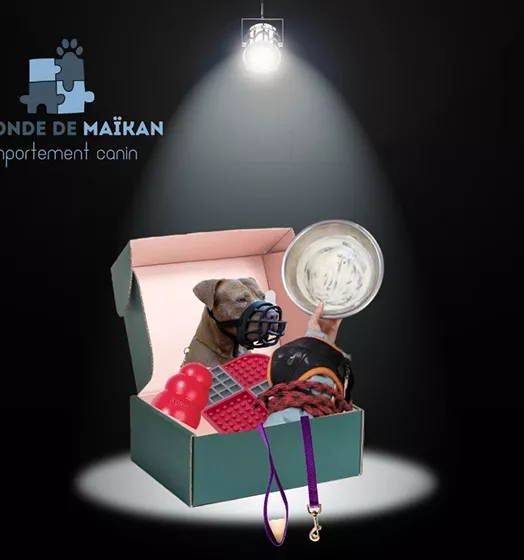La boîte à outils des intervenants en refuge